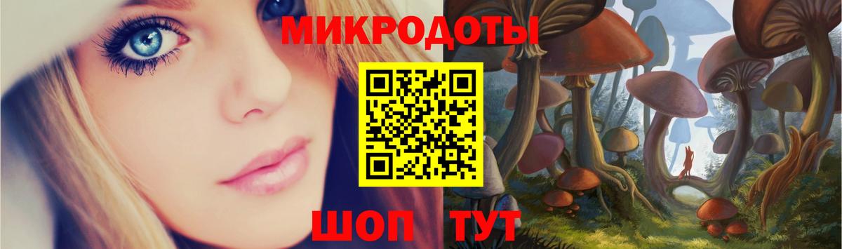 Галлюциногенные грибы Psilocybe Конаково
