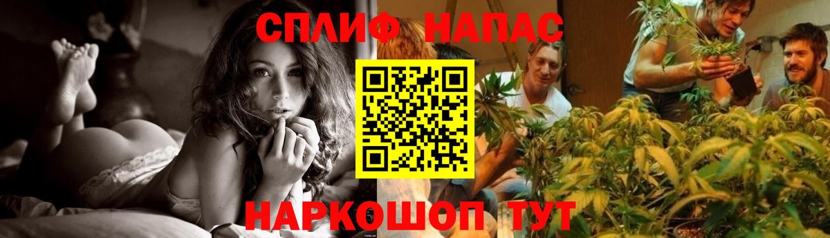 Конопля SATIVA & INDICA Конаково